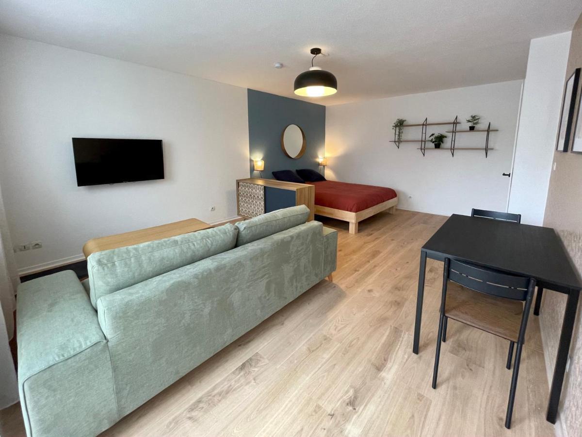 Apartment Grand Studio Joli Coeur - Calme Cosy Lumineux + Parking *