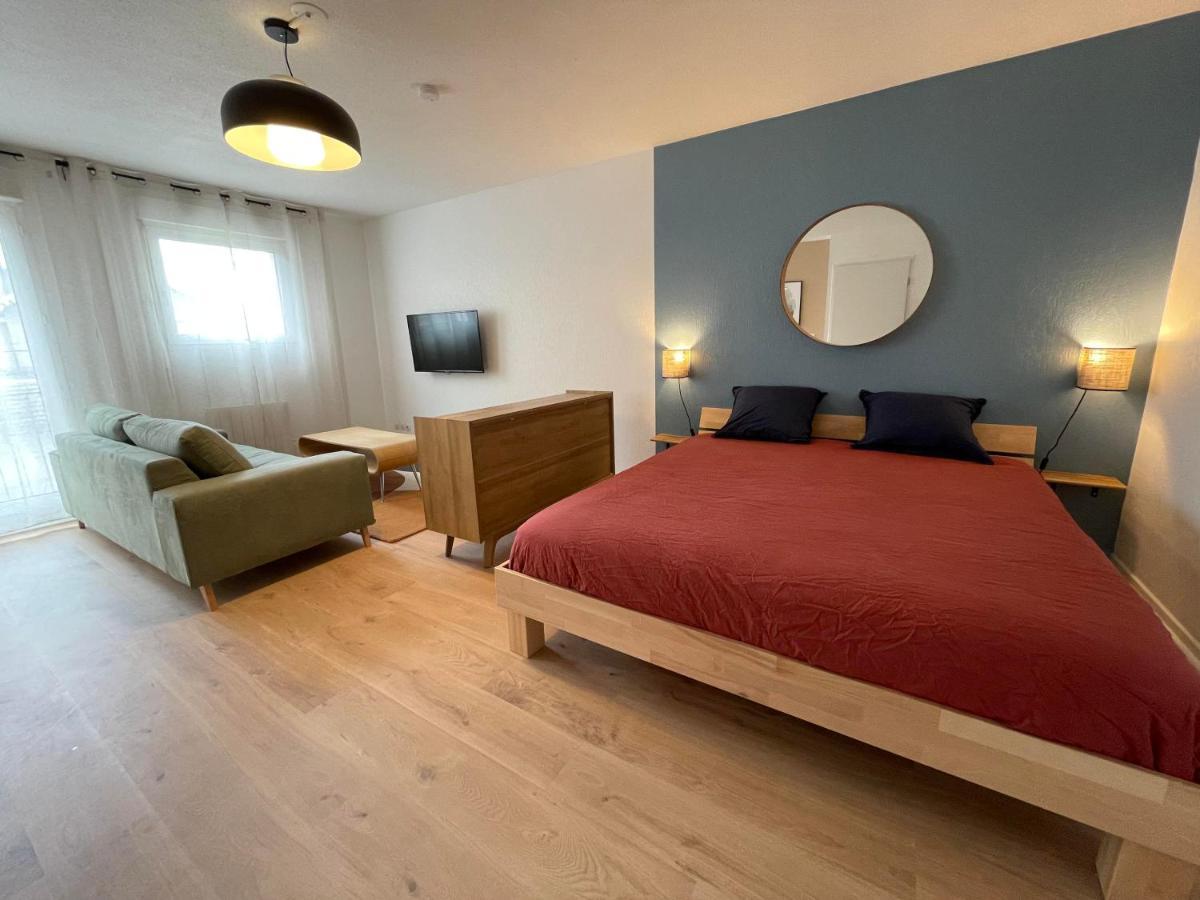 Apartment Grand Studio Joli Coeur - Calme Cosy Lumineux + Parking *